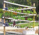 DIY Hydroponic Garden Tower - The ULTIMATE hydroponic system growing over 100 plants in 10 sq feet