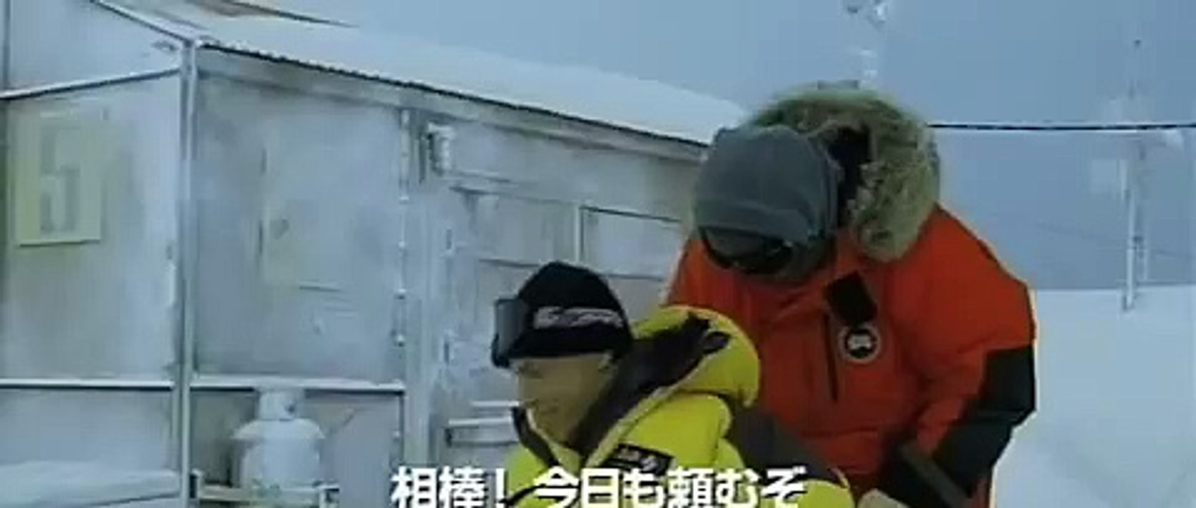 Eight Below