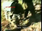 16 ימים במלחמת לבנון השניה