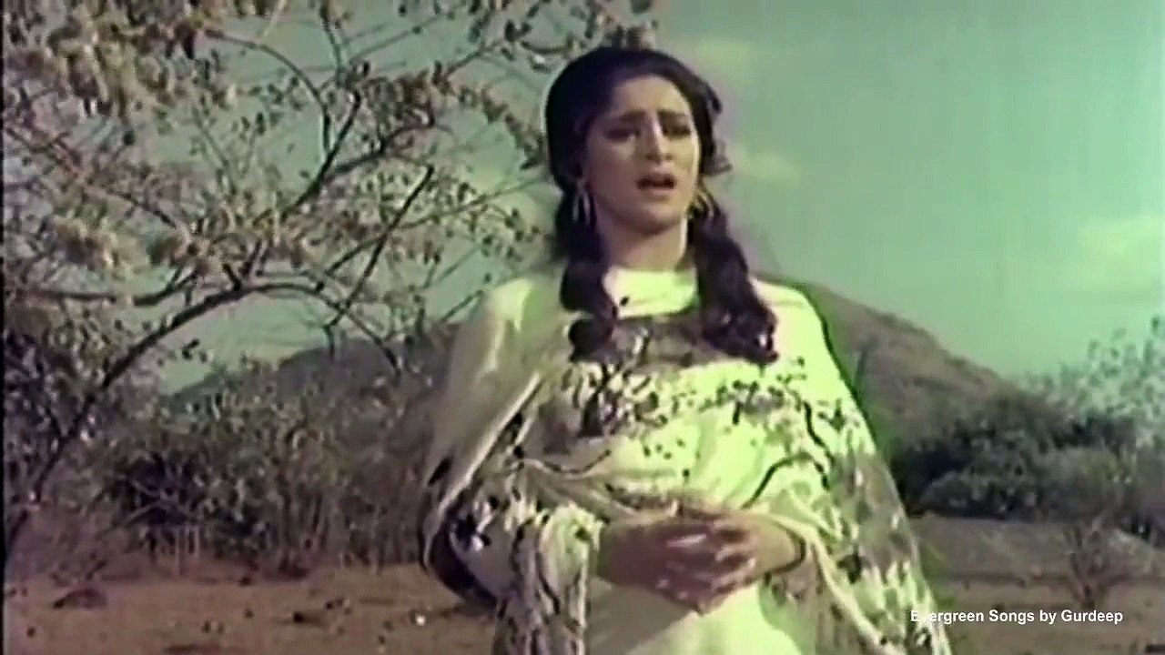 Na Tum Bewafa Ho