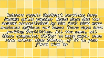 Things That Make A Subzero Repair Westport Professional To Stand Out