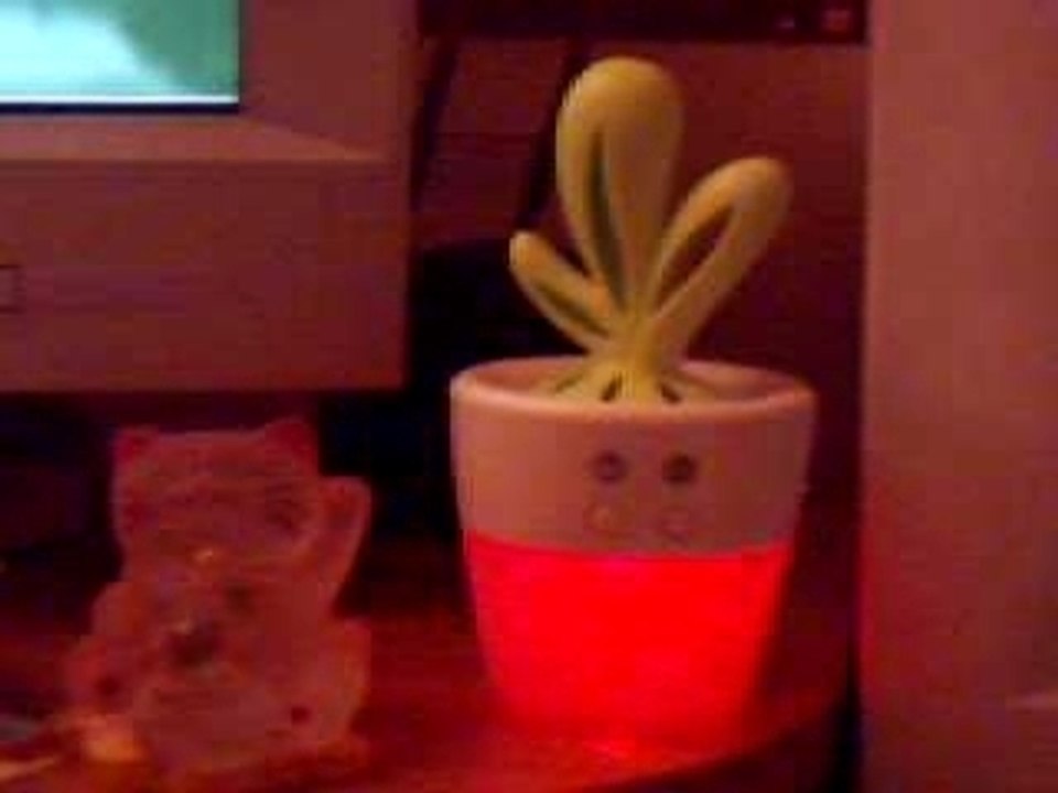 CACTUS USB diffuseur huiles essentielles