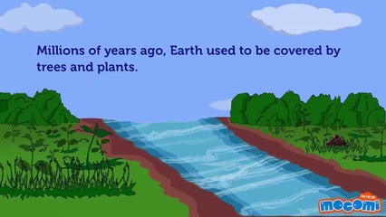 Understanding the Formation of Coal | Mocomi Kids