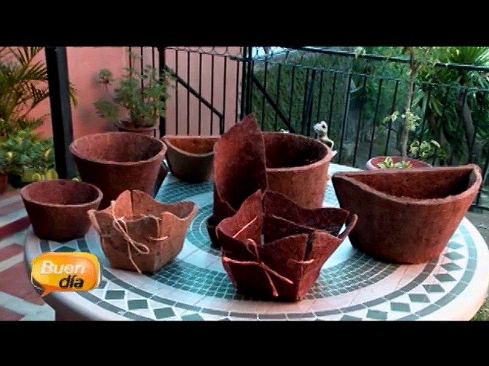 bd-macetas-plantas-250215