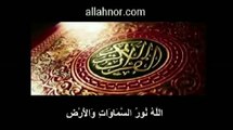 miracles of allah معجزات الله في خلقه سبحان الله لن تصدق ما سترى والله سوف تذهل