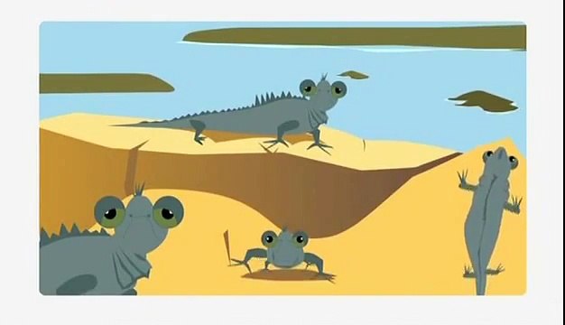 Зоопарк. Игуана, Дельфин. Развивающий мультфильм Мультфильм, мультики, мультфильмы