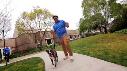 Parodie Uptown Funk avec des Chiots !