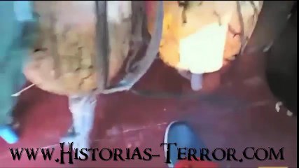 UFO: Objetos grabados desde un barco