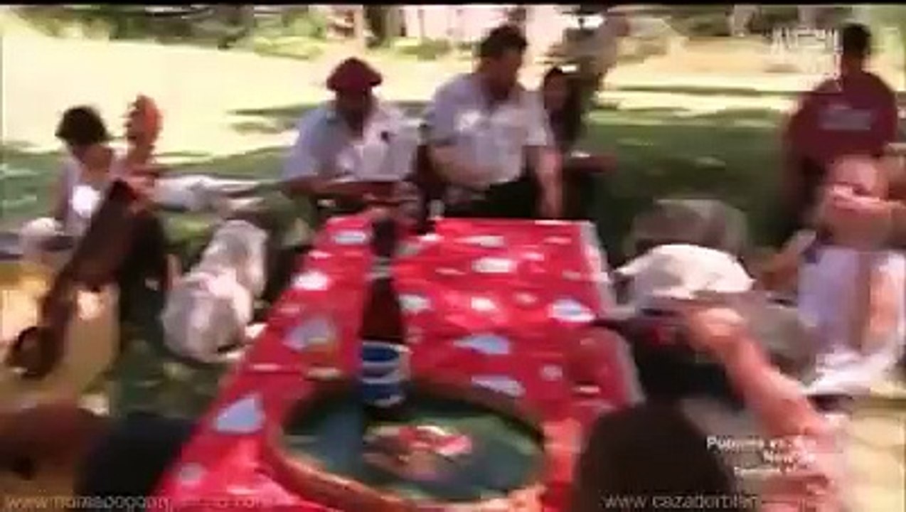 Dogs 101 - Dogo Argentino (Long Version)
