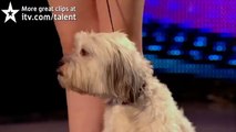 Ashleigh and Pudsey - Britain's Got Talent audition