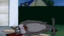 Tom & Jerry - The Dog House