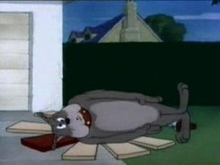 Tom & Jerry - The Dog House