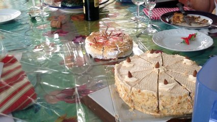 034  en famille a limoges année 2015