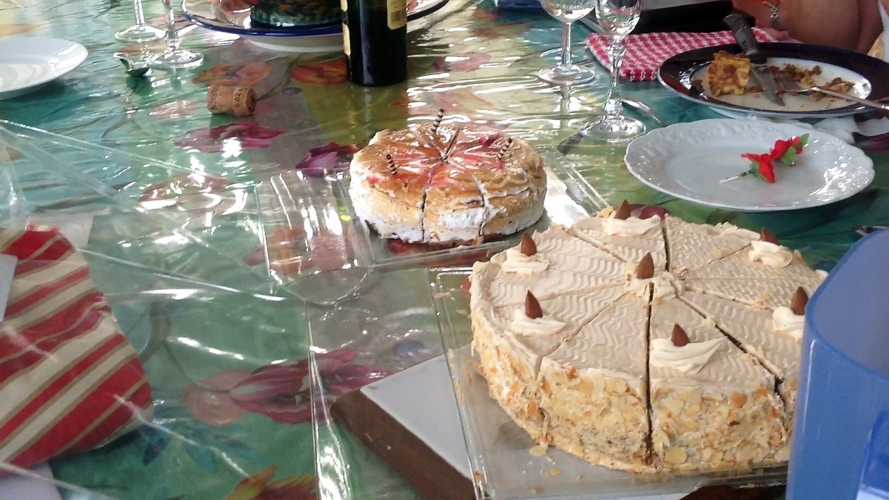 034  en famille a limoges année 2015