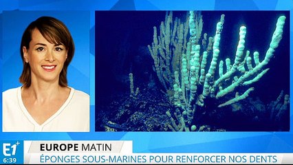 Les éponges sous-marines pour nos dents