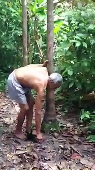Amazing old man