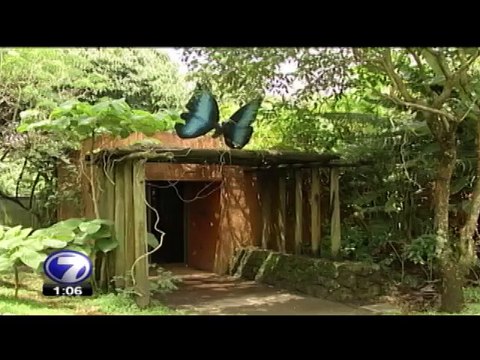 tn7-inbioparque-270215