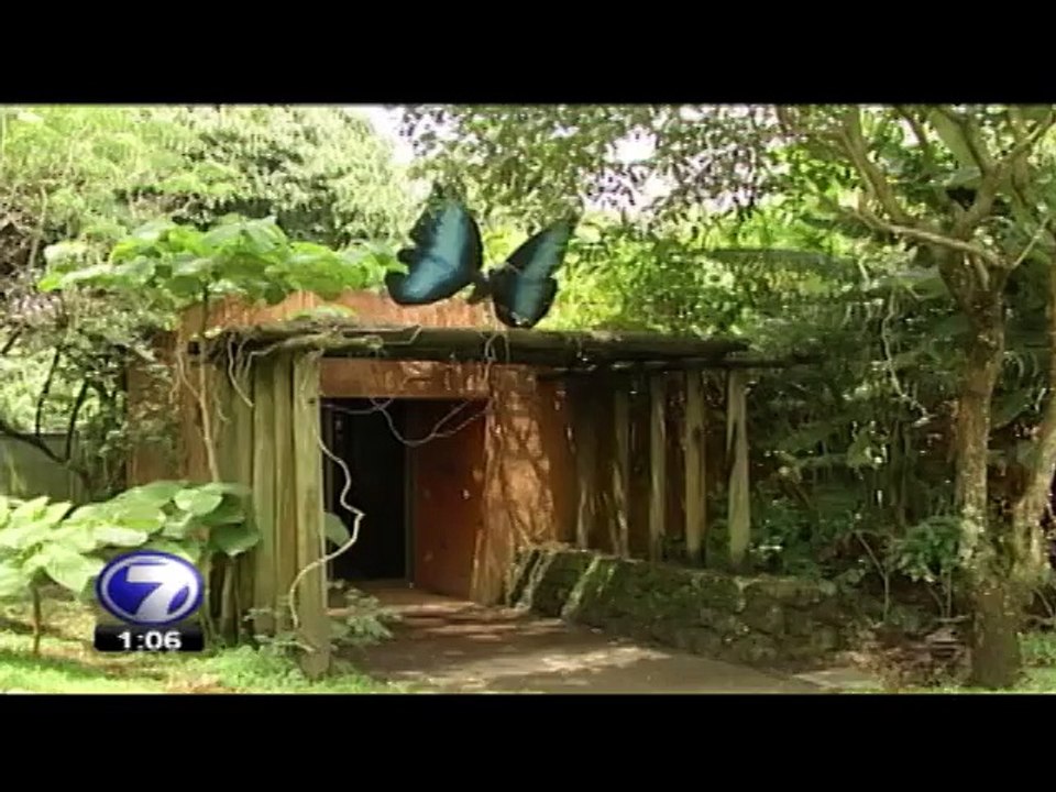 tn7-inbioparque-270215
