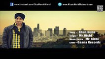 Bhul Jauna (Full Video) Mr Richi _ New Punjabi Song 2015 official HD video