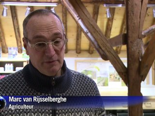 Aux Pays-Bas, des patates au sel contre la faim dans le monde