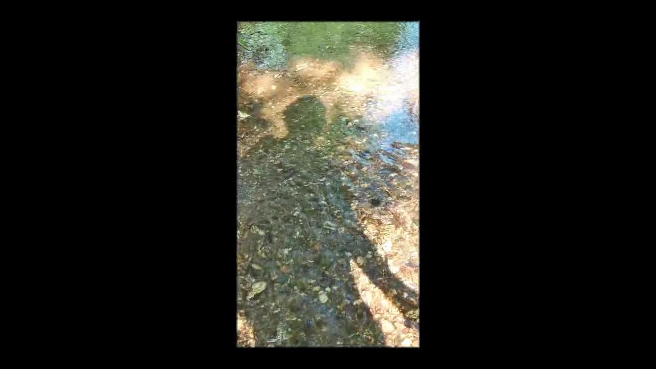 2014-L'ombre de l'eau d'or