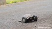 Une tortue a des roues à la place des pattes avant!