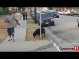 Polis, köpeğe kurşun yağdırdı