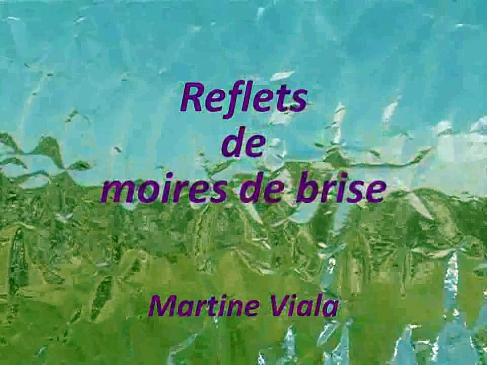 2006-Reflets de moires de brise