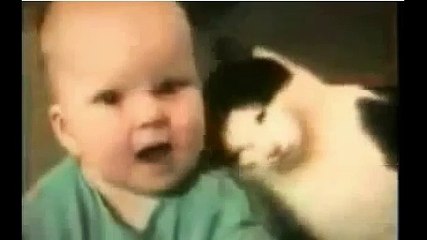 Funny videos - Most Funny Video Ever?syndication=228326