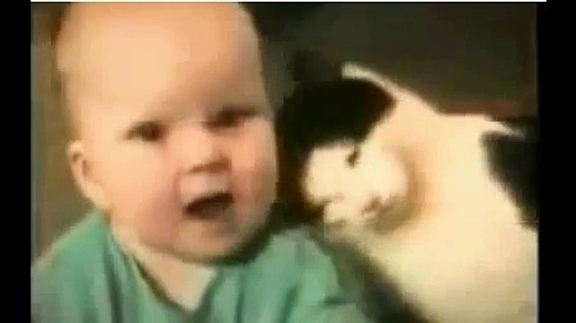 Funny videos - Most Funny Video Ever?syndication=228326