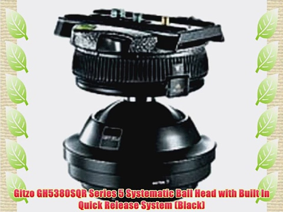 Gitzo GH5380SQR Series 5 Systematic Ball Head with Built In Quick Release System (Black)