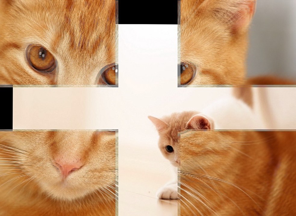 kedi maması