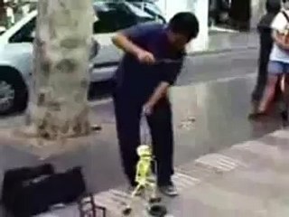 Funny Videos 21?syndication=228326