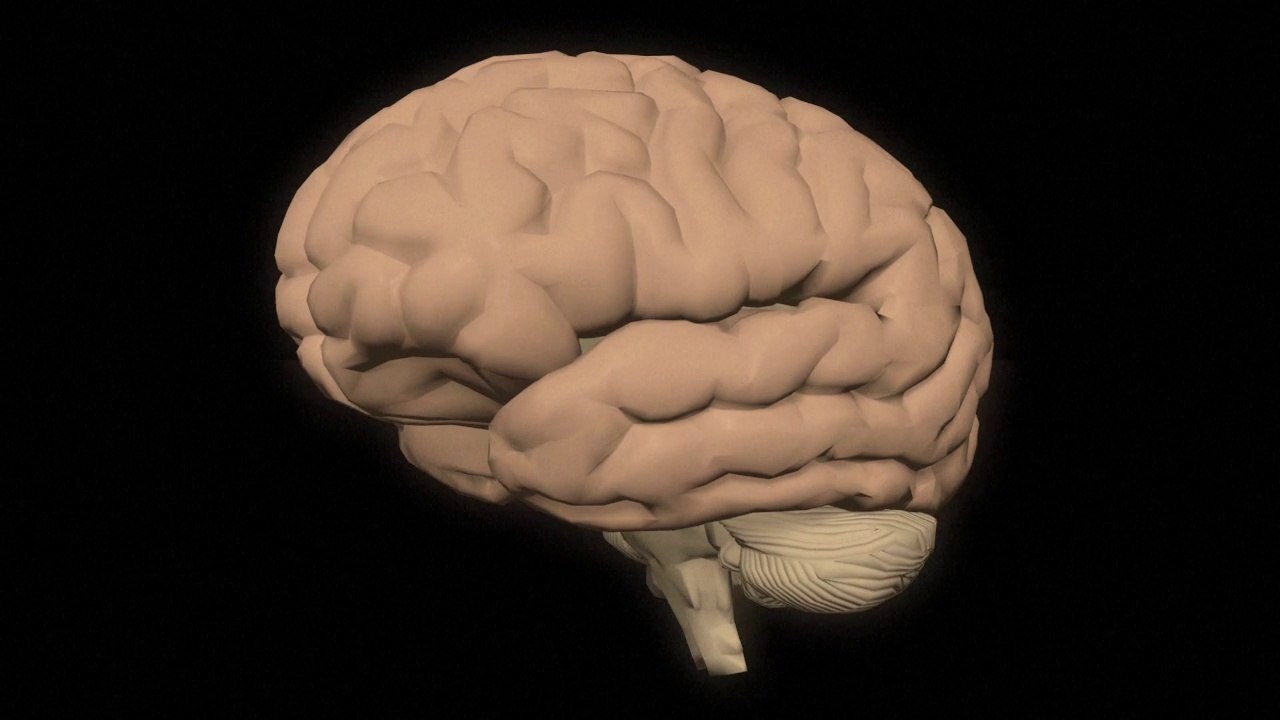 La maladie d'Alzheimer