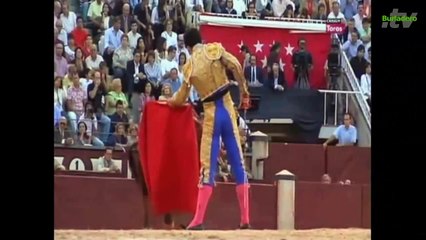 Morenito de Aranda tentadero