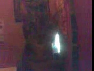 le chat regarde la tele