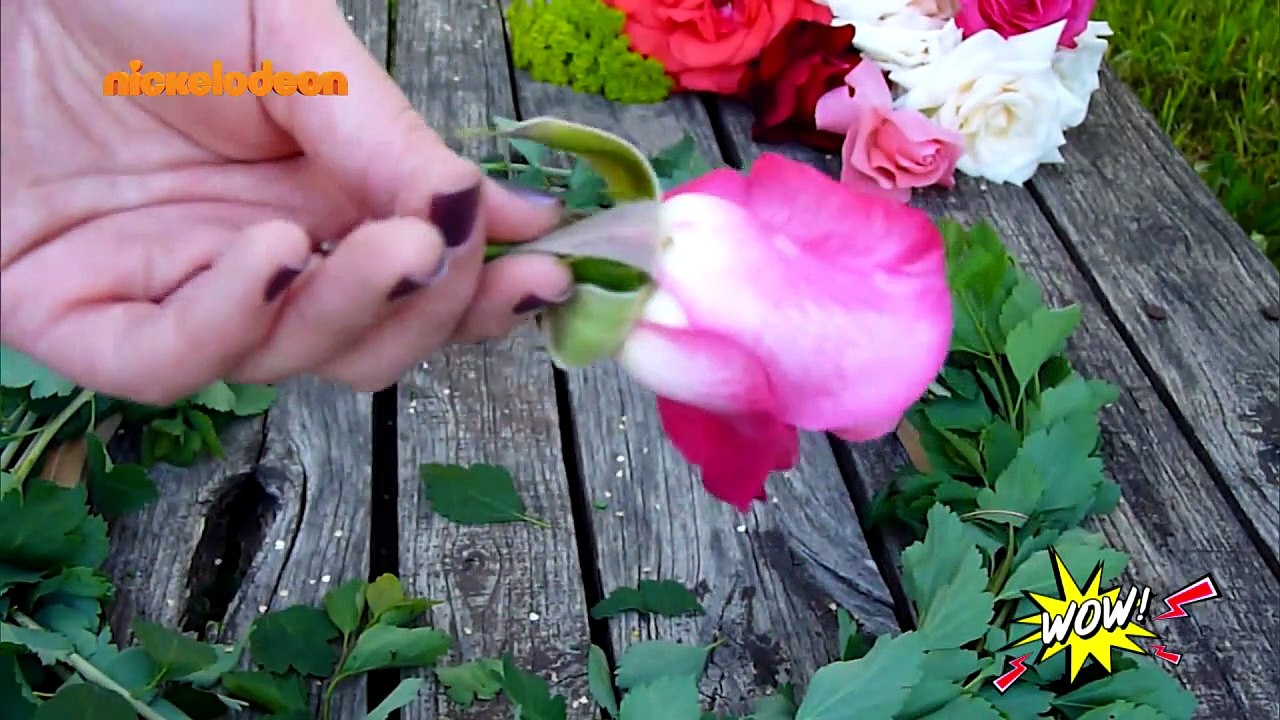 WOW! - S02: Επεισόδιο #84