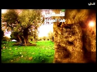 فلسطين هذا الصباح الخميس  ج1
