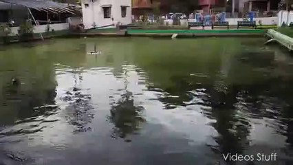 Earthquake in India- 25 April, 2015 - Video Dailymotion