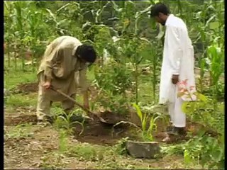Documentary Films [ERNP Pakistan]  [A Film by Asghar Ali Khan]
