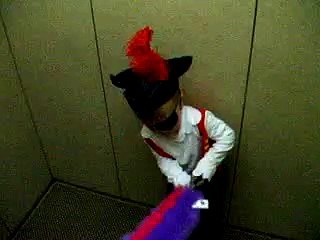 captain feathersword