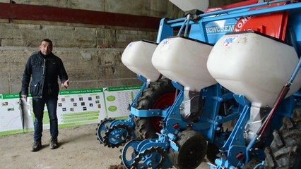 Réussir son maïs en semis direct