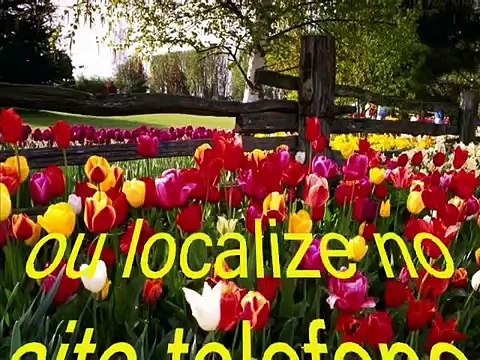 Mensagem Dia das Mães - Telemensagem Global