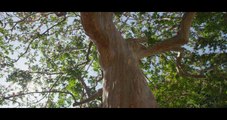 6K RED EPIC DRAGON Camera Test by Cinematographer Peter Collister
