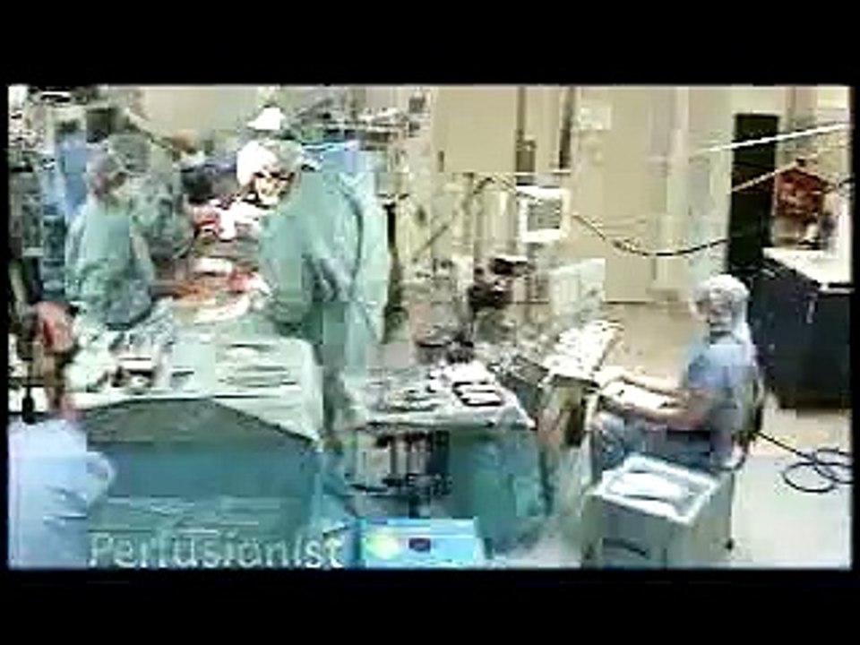 Perfusionist Interview