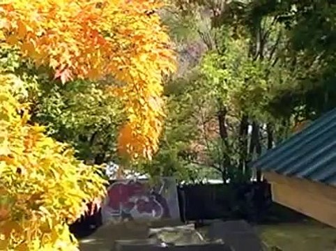 Autumn Dirt Jumping, Mountain Bike Freeride Dirt Jump Vermont