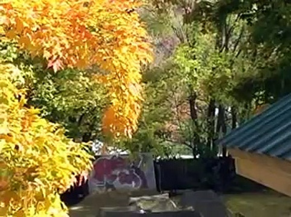 Autumn Dirt Jumping, Mountain Bike Freeride Dirt Jump Vermont