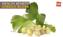 Ginkgo Biloba - Health Benefits | Health Tips