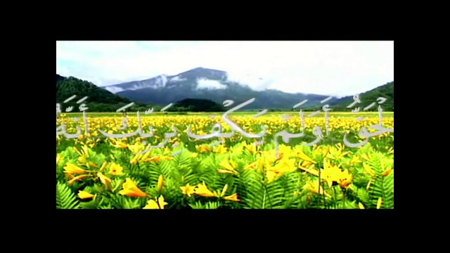 Lion Roar Allah معجزه حيرت علماء الارض سبحان الله لااله الا الله