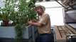 How to hold heat in your Aquaponics greenhouse during the winter